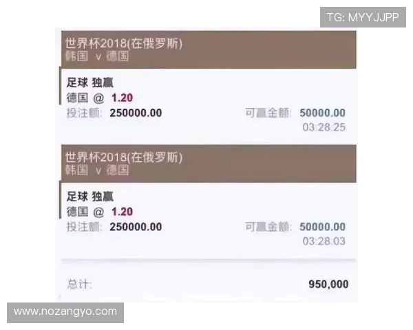 关注世界杯投注安全,十大买球平台为你提供最专业的投注服务指南 关注世界杯投注安全,十大买球平台为你提供最专业的投注服务指南